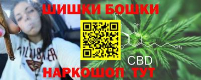 ПСИЛОЦИБИНОВЫЕ ГРИБЫ Рязань