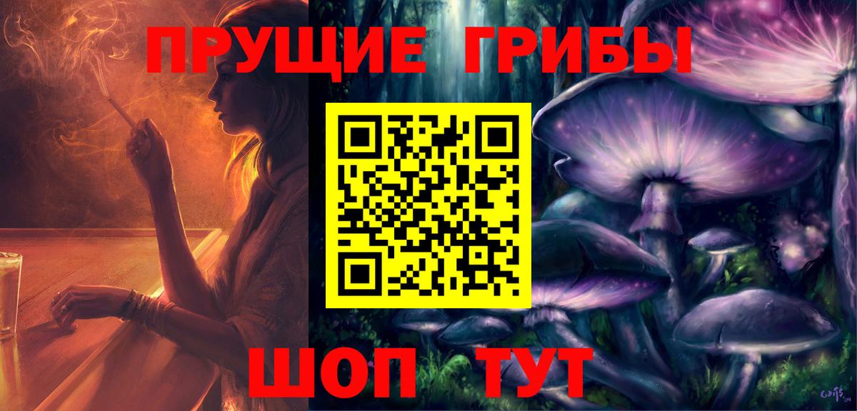 Рубцовск  Псилоцибиновые грибы мицелий  Вход с VPN  Псилоцибиновые грибы Psilocybe 